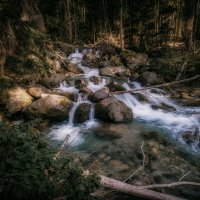 Горная река в лесах Домбая :: Владимир Тищенко