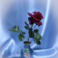 Роза красная цвела гордо и неторопливо... :: Irene Irene