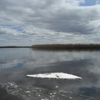 Паводок :: Anna Ivanova