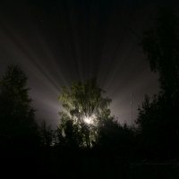Ночной туман :: Сергей Шаврин
