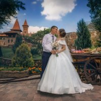 Свадьба Виталия и Виктории :: Андрей Молчанов