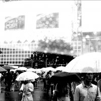 Фото под зонтом Токио Япония :: wea *