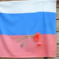 День флага России :: Татьяна Лютаева