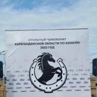 Открытый чемпионат по конкуру. :: Динара Каймиденова