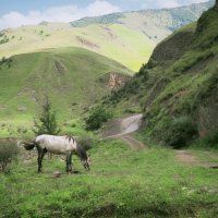 Поездка в горы :: Магомед .