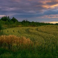 Закат :: Дмитрий Ряховский