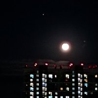 Полная луна :: ольга хакимова