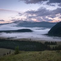 Алтай. Утренний туман в долине реки Аргут :: Galina 