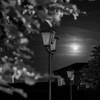 Ночь,улица,фонарь,,, :: Дмитрий Ряховский