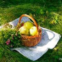Яблочки из сада :: Ольга Бекетова