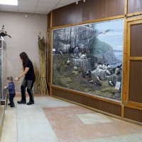 В краеведческом музее в Кандалакше :: Ольга 