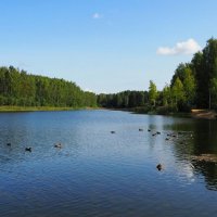 Озеро в пригороде Смоленска :: Милешкин Владимир Алексеевич 