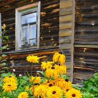 Осень в деревне :: Елена Байдакова