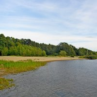 Река Коваш в месте впадения в Копорскую губу Финского залива. :: Лия ☼