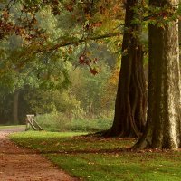 Осень гуляет в задумчивом парке, жёлтую с клёнов срывая листву :: Юрий. Шмаков