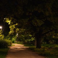 В ночном парке :: Nyusha .