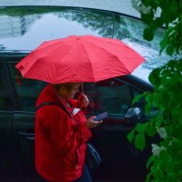 И дождь не помеха :: Oleg4618 Шутченко