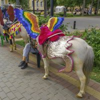 В стране розовых поней. :: Владимир Мигонькин