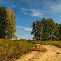 Теплая Подмосковная Осень # IV :: Андрей Дворников