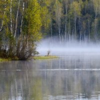 В тумане утреннем.... :: Юрий Цыплятников