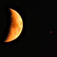 Луна и Антарес :: Alisa Koteva 
