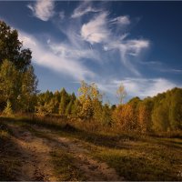 "Там, где бродит осень"© :: Владимир Макаров