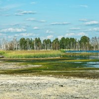 Про соленые и щелочные озера :: Дмитрий Конев