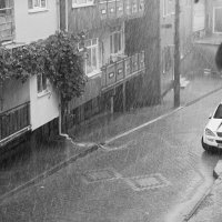 Летний дождь. :: веселов михаил 