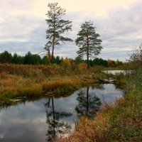 Осень у реки... :: Нэля Лысенко