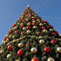 Новогодняя елка в Уссурийске :: AngussGrand Gusev