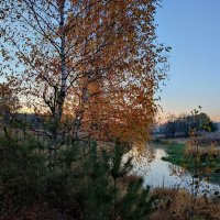 Рассвет на реке Молокча :: Денис Бочкарёв