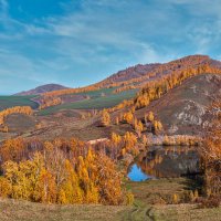 Осенняя панорама :: Алексей Мезенцев