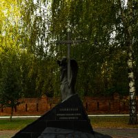 Погибшим в локальных войнах :: Константин Сафронов