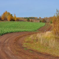 Дорогами осени. :: Михаил Колосов 