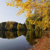 Осенний пруд :: Наталия Григорьева