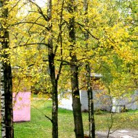 Золотая осень :: Елена Семигина