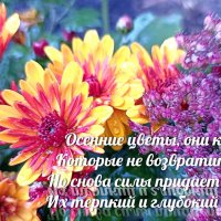 Осенние цветы... :: Татьяна Тюменка