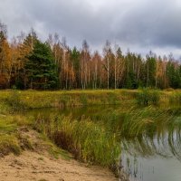 Осень, Октябрь, утро.... :: Андрей Дворников