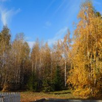 Осень в парке Горького :: Наиля 