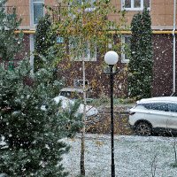 Снегопад 22 октября :: Светлана 