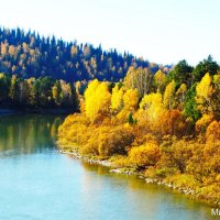 осень на реке Лебедь.2 :: михаил Архангел