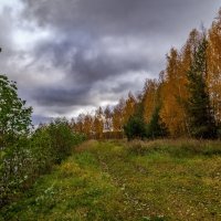 Осень, Октябрь, утро # 03 :: Андрей Дворников