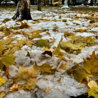 Осень VS зима :: Светлана Павлова
