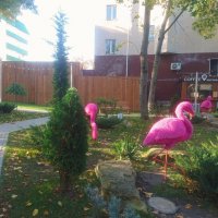 Сквер розовых фламинго :: Виктор Мухин