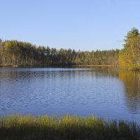 НА ЛЕСНОМ ОЗЕРЕ. :: Андрей Андреев Андреев