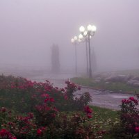 " Сиреневый туман..." :: LudMila 