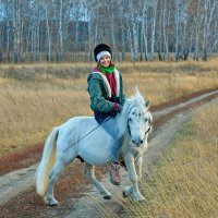 Прогулка на пони :: Дмитрий Конев