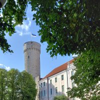 Башня Длинный Герман :: veera v