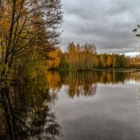 Осень, Октябрь, утро # 09 :: Андрей Дворников