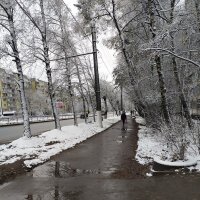 Первый снег :: Владимир Никольский (vla 8137)